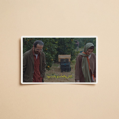 استیکر فیلم جنگل پرتقال | مدل سینمایی